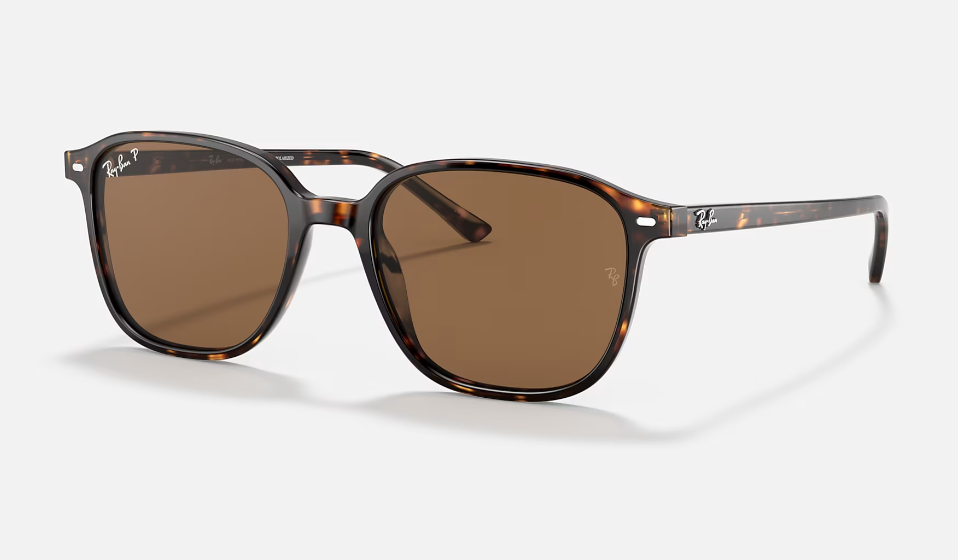 Ray-Ban RB2193 Brown Lenses